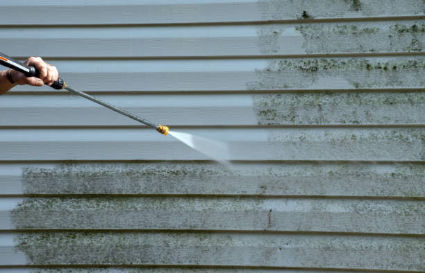 Best Patio and Deck Pressure Washing  in St James, MD